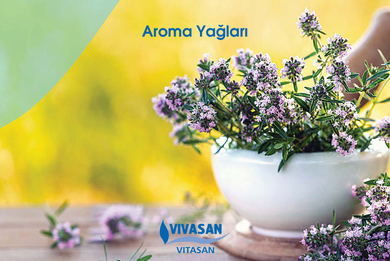 Vivasan Yağlar Kataloğu